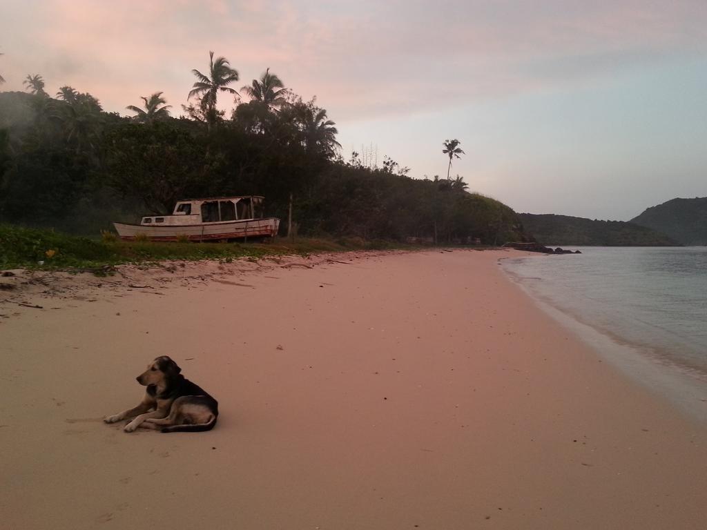 Yasawa Homestays Naisisili Экстерьер фото